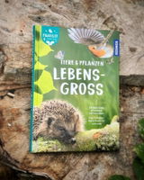 Jens_WK review photo
