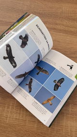 Wikki review photo