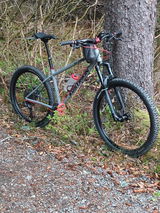 David review photo
