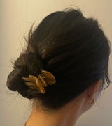S.M. review photo