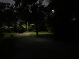 DT review photo