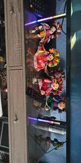 D***r review photo