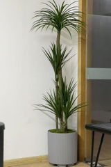 xuan review photo