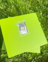 Daisy review photo