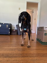 Grace V. review photo