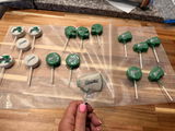 Shawneea Hollenbeck review photo