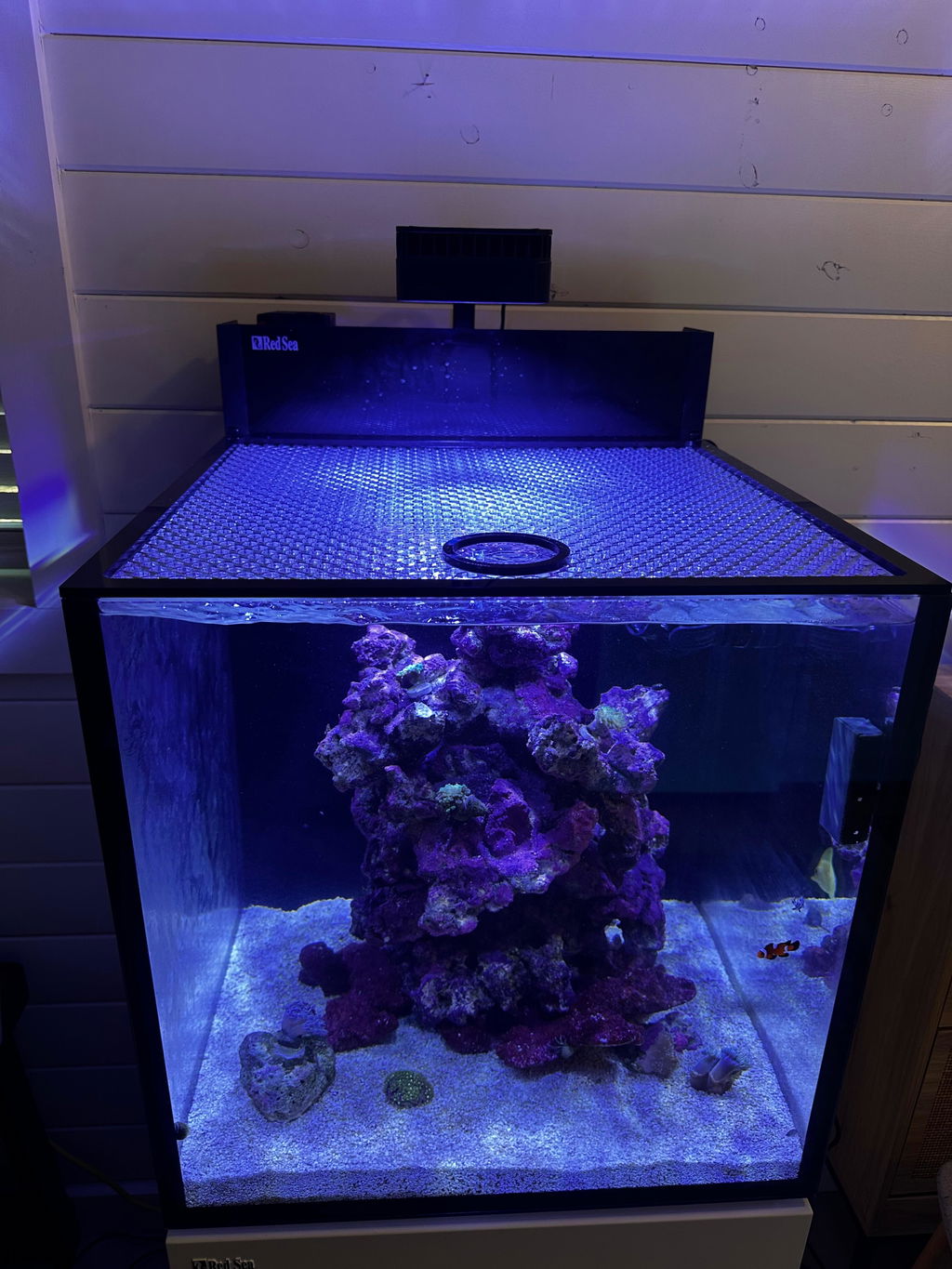 Red Sea Max Nano G2 XL (33g) Honeycomb Lid