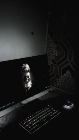 Akshat Singh review photo