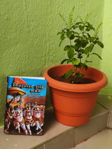Madhusudan review photo