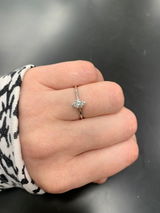 Lily review photo