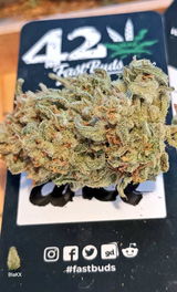 BlaKX review photo