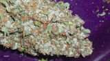 BlaKX review photo