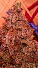 BlaKX review photo