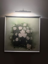 H2C review photo