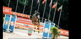 Michelle Nelson - OLS Sporthorses Ltd review photo