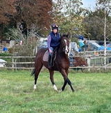 Irene de Best. DVM, MRCVS review photo