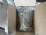 Emily Chamberlain review photo