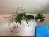 Etsy buyer review photo