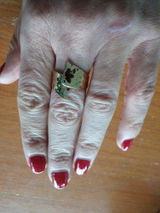 Muriel S. review photo