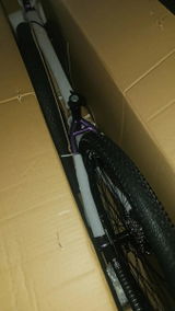 Dariel review photo