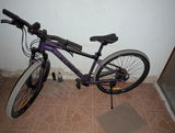 David S. review photo