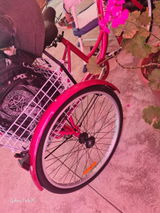 Nahani E. review photo