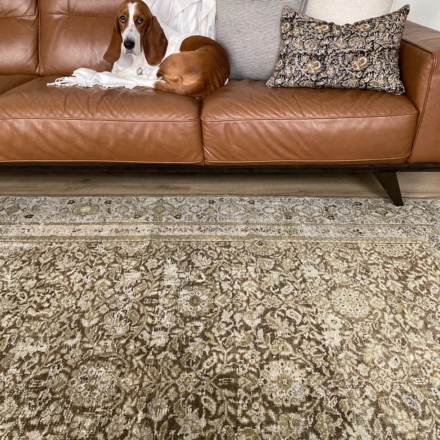 kudenrugs