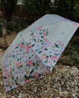 田中 美沙 review photo