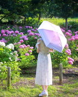 柊山 review photo