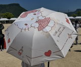 匿名 review photo