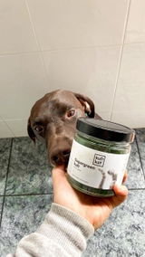 Enterokun Mild Perros (260 g) Suplemento para su Salud Intestinal