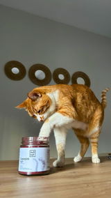 Superpinkkun (Perros y Gatos - 170 g) Suplemento para el tracto urinario