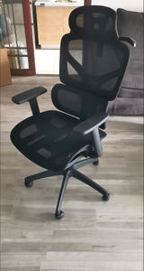 Woodrow S review photo