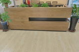 Gustave Springhall review photo