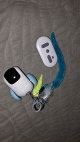 Crazy-Joy – Voiture interactive pour chat