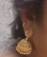 shivali review photo