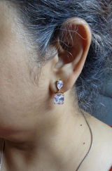 Lakshmi Gopal review photo