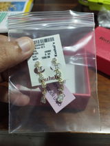 Michelle Fernandes review photo