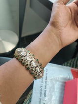shrilakshmi p. review photo