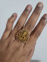 Lakshmi G. review photo