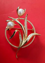 S. Divya review photo