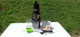 J.E. review photo