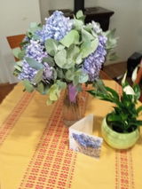 Miroslava review photo