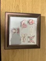 Eliza review photo
