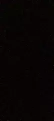 Brooklyn review photo