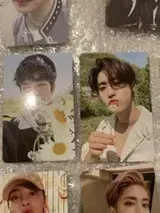 Lily review photo