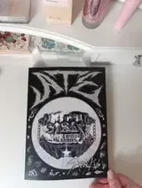 Paisley review photo