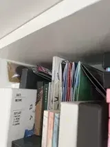 Summer review photo