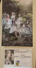 Lily review photo