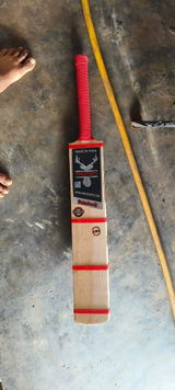 Ramana review photo